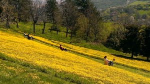 meditazione